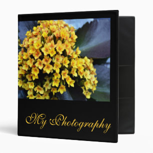 Classeur de dossier de photographie