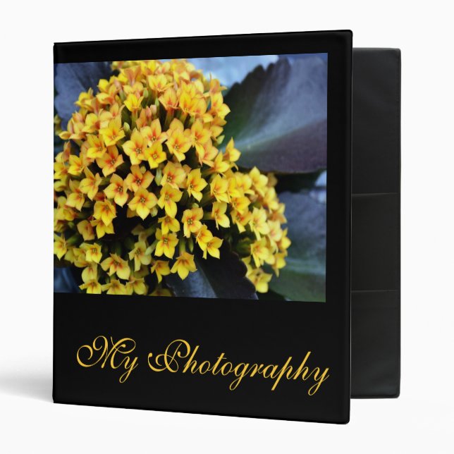 Classeur de dossier de photographie (Devant/intérieur)