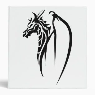 Classeur de Draconicals