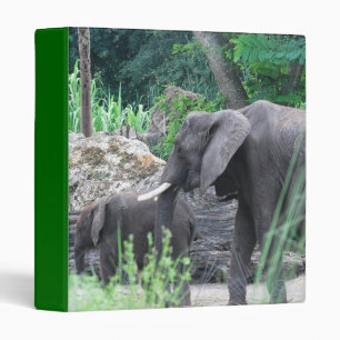 Classeur de famille d'éléphant