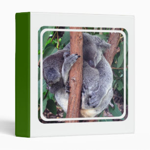 Classeur de famille d'ours de koala