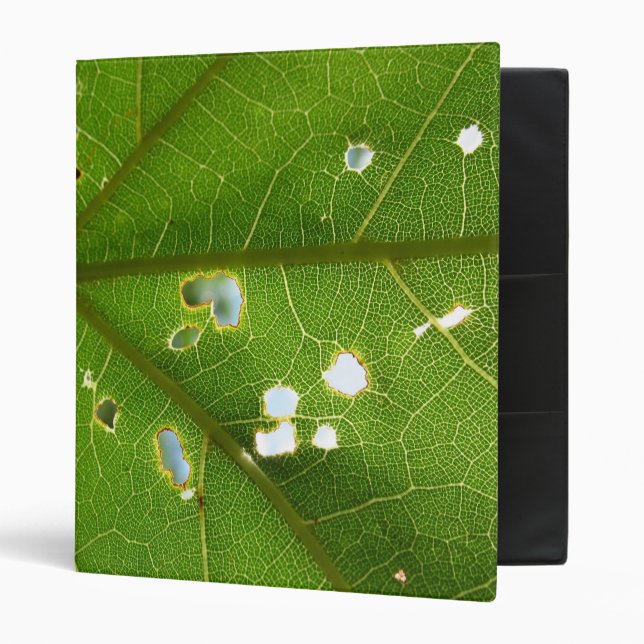 Classeur "de feuilles mobiles" (Devant/intérieur)