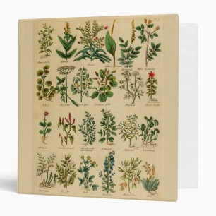 Classeur de fines herbes vintage