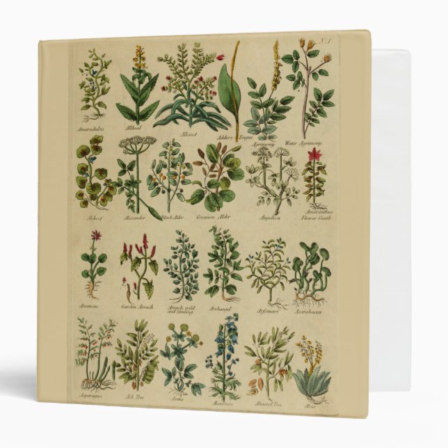 Classeur de fines herbes vintage (Devant/Intérieur)