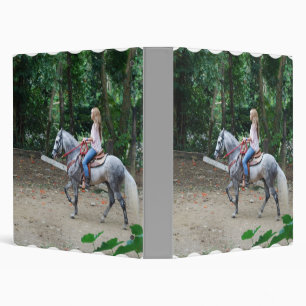 Classeur de Gaited Paso Fino