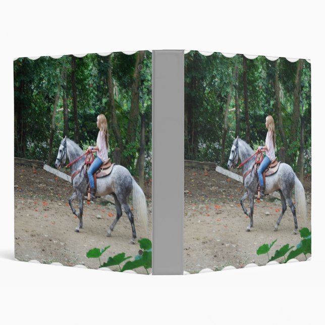 Classeur de Gaited Paso Fino (Arrière-plan)