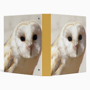 Classeur de hibou de grange de Milou
