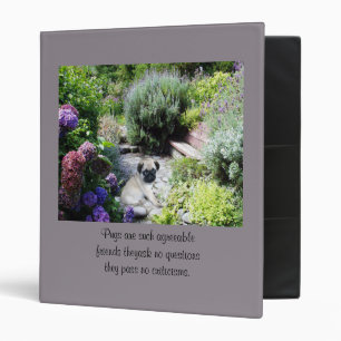 Classeur de jardin de carlin