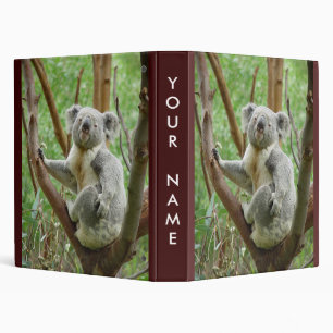 Classeur de koala