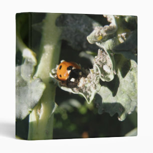 Classeur de Ladybug britannique à 7 emplacements