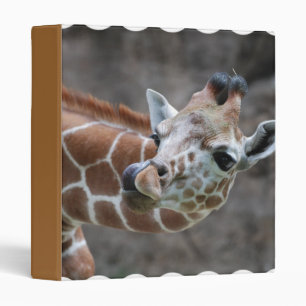 Classeur de langue de girafe