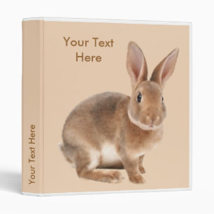 Classeur de lapin de Rex