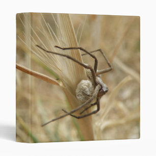 Classeur de l'araignée et de l'oeuf