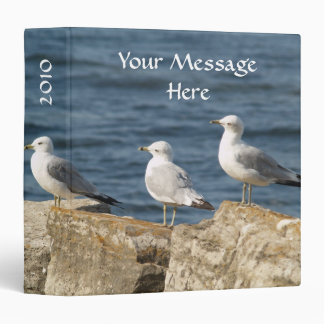 Classeur de l'eau bleue de mouette