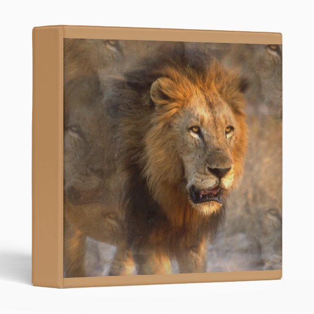 Classeur de lion (Devant/Côté)