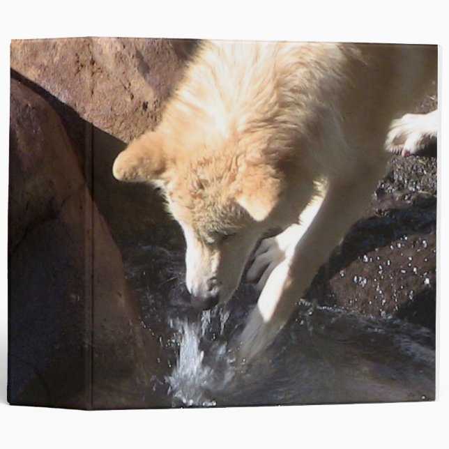 Classeur de loup gris (Devant/Côté)