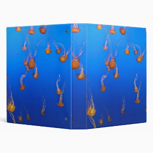 Classeur de méduse orange