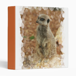Classeur de Meerkat de bébé