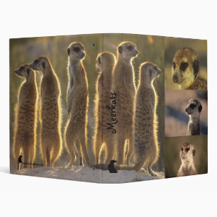 Classeur de Meerkats - fleur Yossarian Mozart