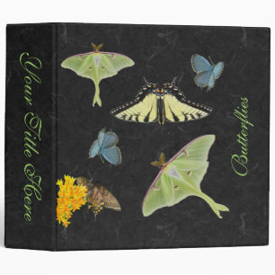 Classeur de papillons