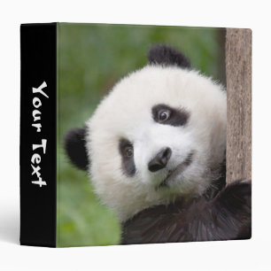 Classeur de peinture de petit animal de panda