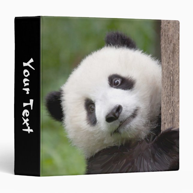 Classeur de peinture de petit animal de panda (Devant/Côté)