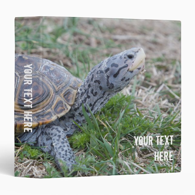 classeur de photo d'avery de tortue de terrapin de (Devant/Côté)