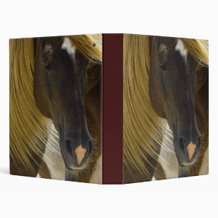 Classeur de photo de cheval de mustang