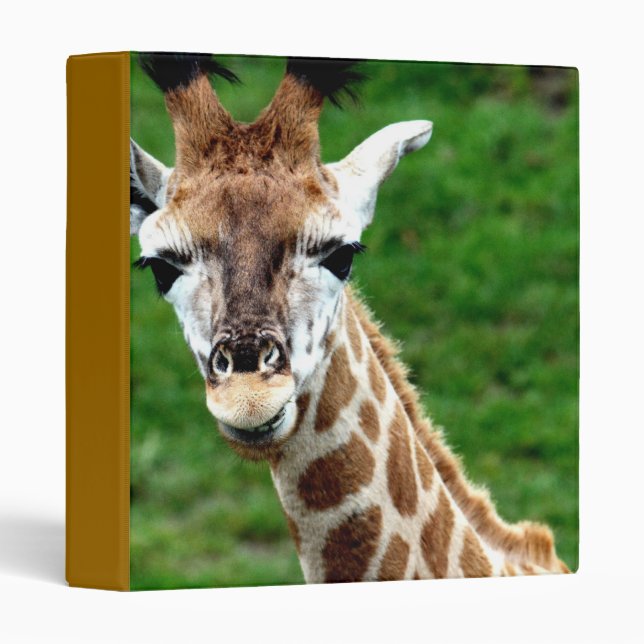 Classeur de photo de girafe (Devant/Côté)