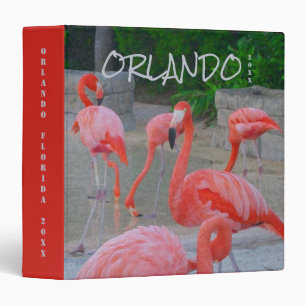 Classeur de photos des flamants d'Orlando Floride