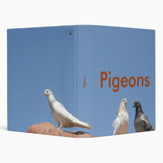 Classeur de pigeons