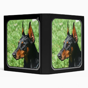 Classeur de Pinscher de dobermann
