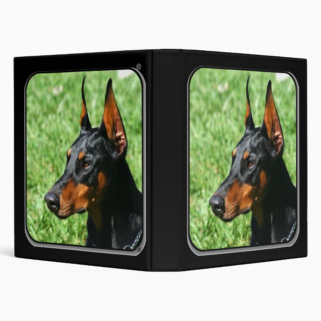 Classeur de Pinscher de dobermann (Arrière-plan)