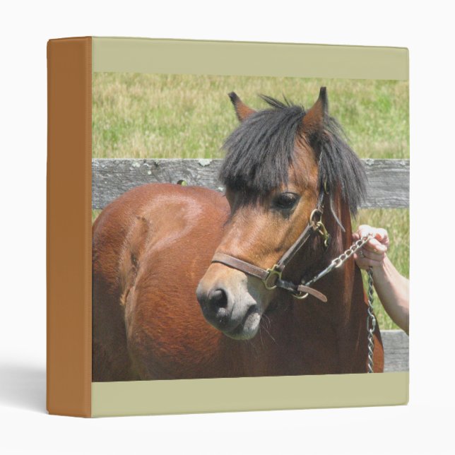 Classeur de poney de Shetland (Devant/Côté)