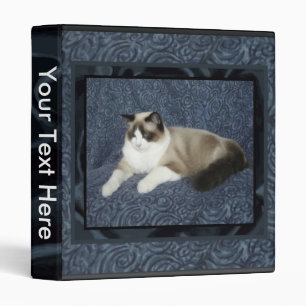 Classeur de Ragdoll Sam