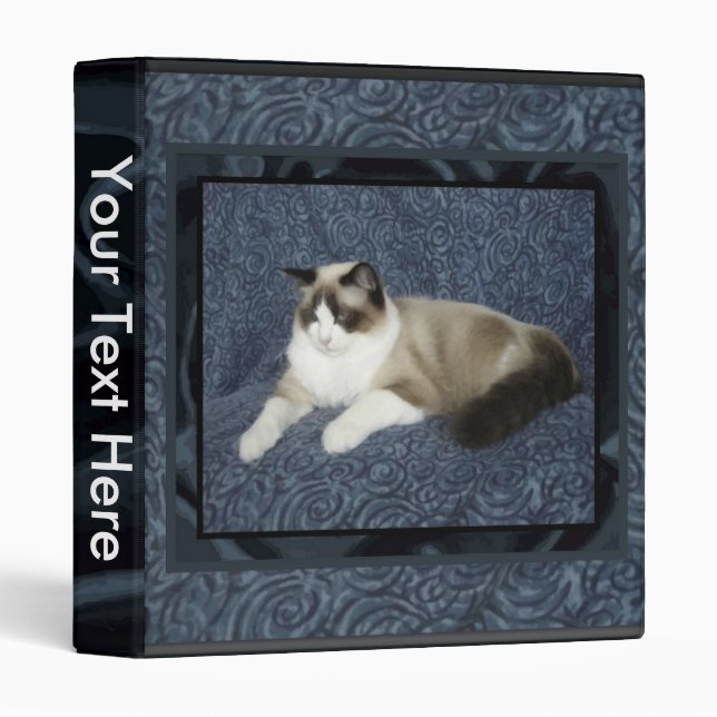 Classeur de Ragdoll Sam (Devant/Côté)