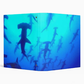 Classeur de requins