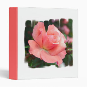 Classeur de rose de rose