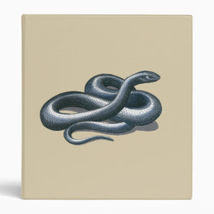 Classeur de serpent de l'Est de l'Indigo