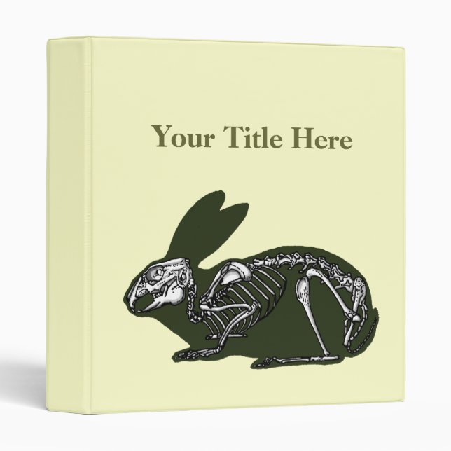 classeur de squelette de lapin (Devant/Côté)