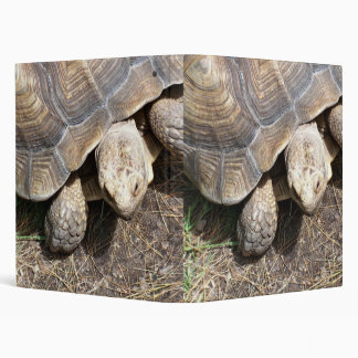 Classeur de tortue