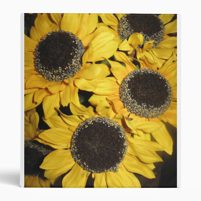 classeur de tournesol (Devant)