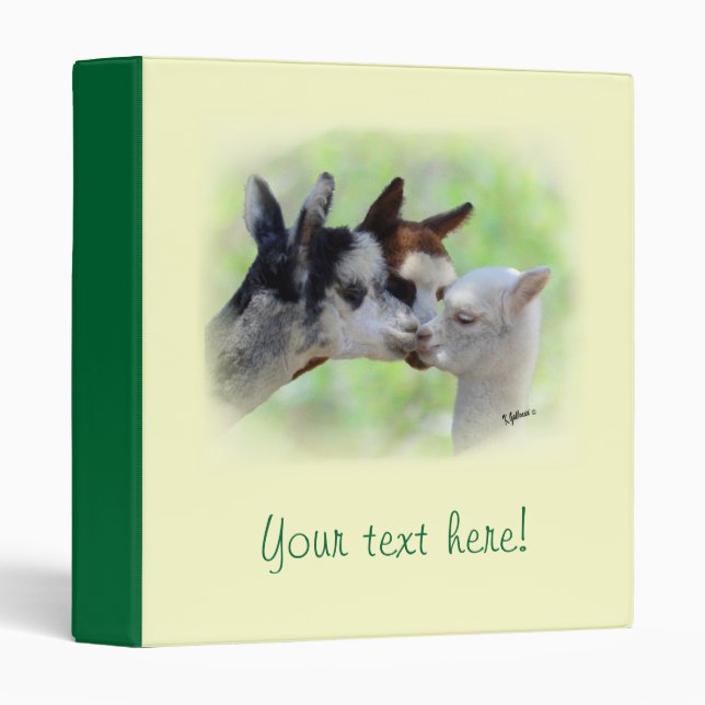 Classeur de trois alpaga (Devant/Côté)