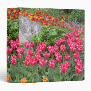 classeur de tulipe de jardin