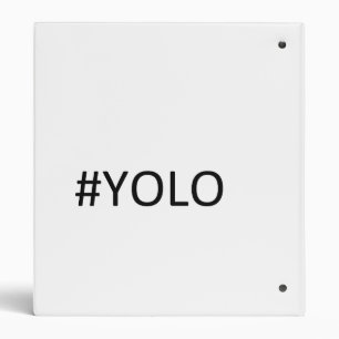 Classeur de YOLO