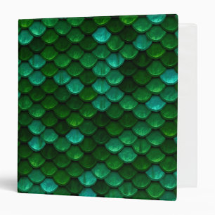 Classeur d'échelle de dragon vert