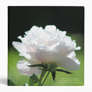 Classeur Défunt ressort de pivoine blanche