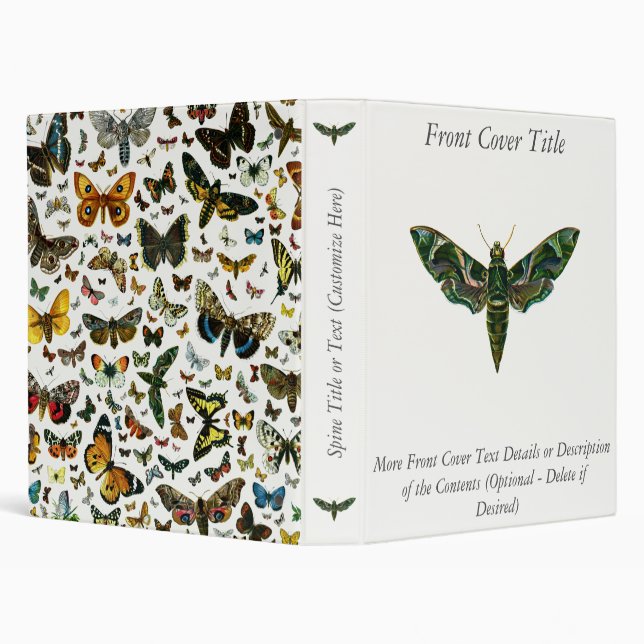 Classeur Deilephila Nerii - Oleander Hawk-Moth 3 Anneau Bin (Arrière-plan)