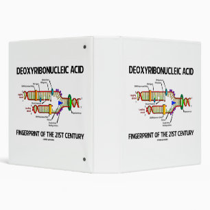 Classeur Déoxyribonucleic Acid Doigts Of 21st Century