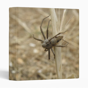 Classeur déplaisant Crawly Spider
